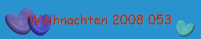 Weihnachten 2008 053