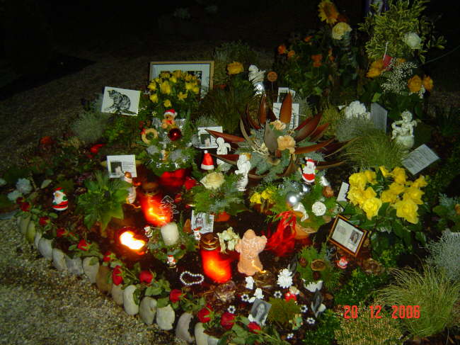 Nikolaus 2006