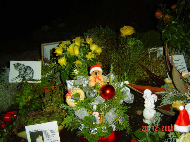 Nikolaus 2006